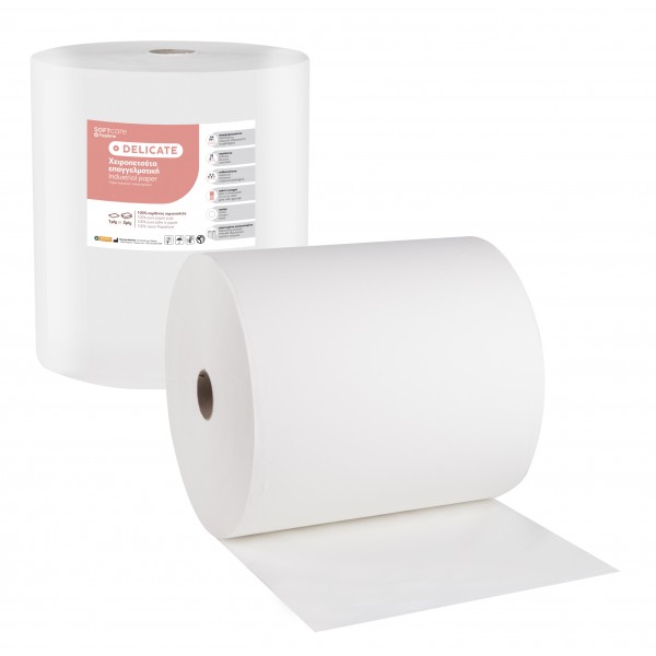 Soft Care Delicate Χειροπετσέτα ρολό 2ply 4000gr Jumbo 25cm x 400m